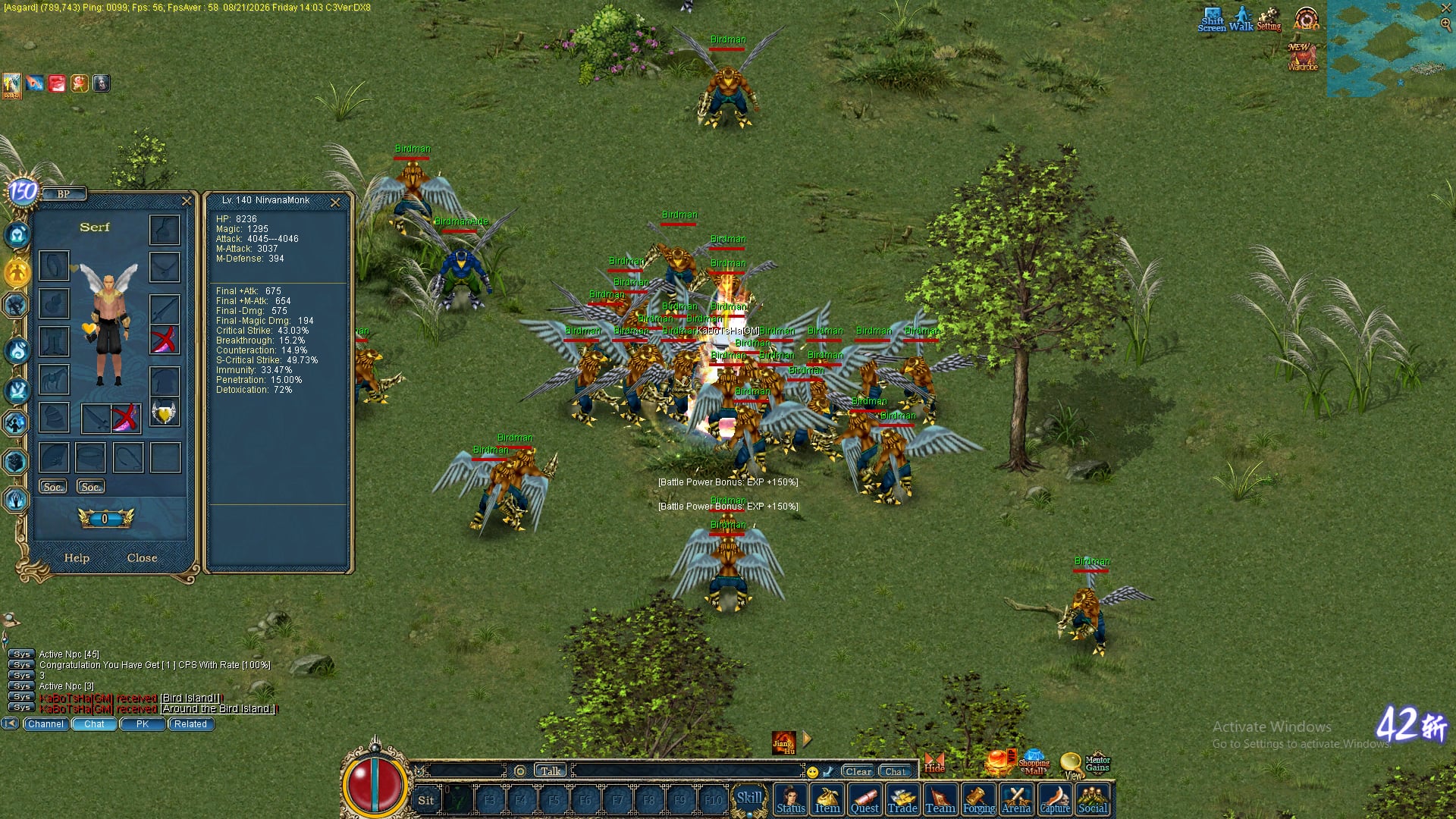 Asgard Bird Island gameplay